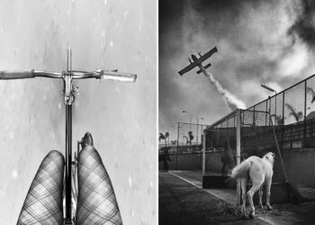 Mobile Photography Awards Black and White Winners