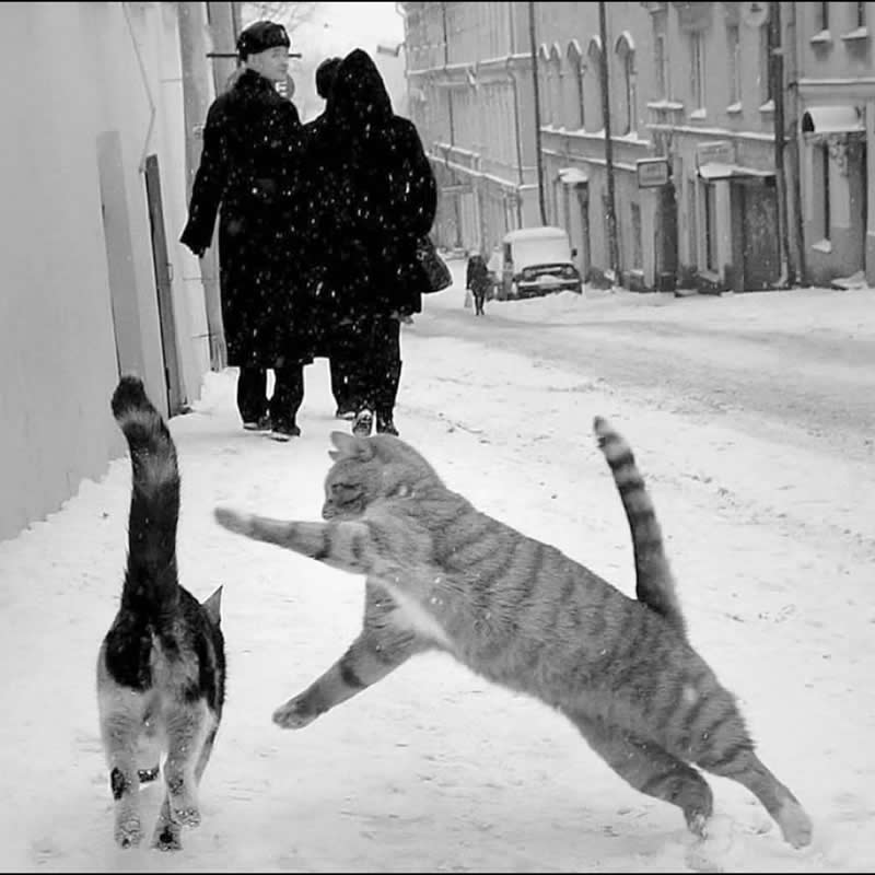 Life Unseen  - Black and White Street Photography Timing and Composition