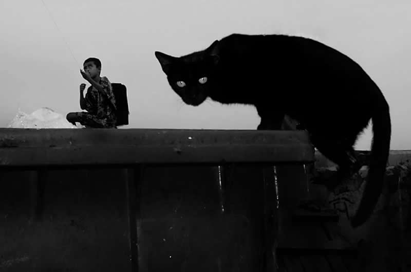 Hello there - Black and White Street Photography Timing and Composition