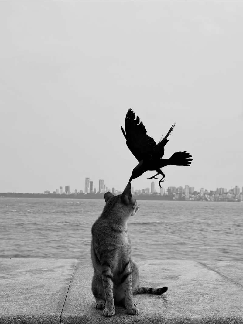 Interactions - Black and White Street Photography Timing and Composition