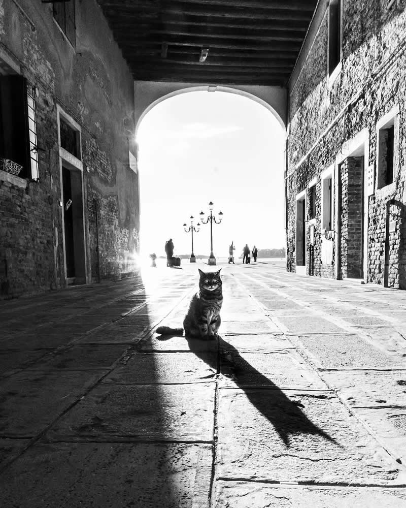 Shadow play - Black and White Street Photography Timing and Composition