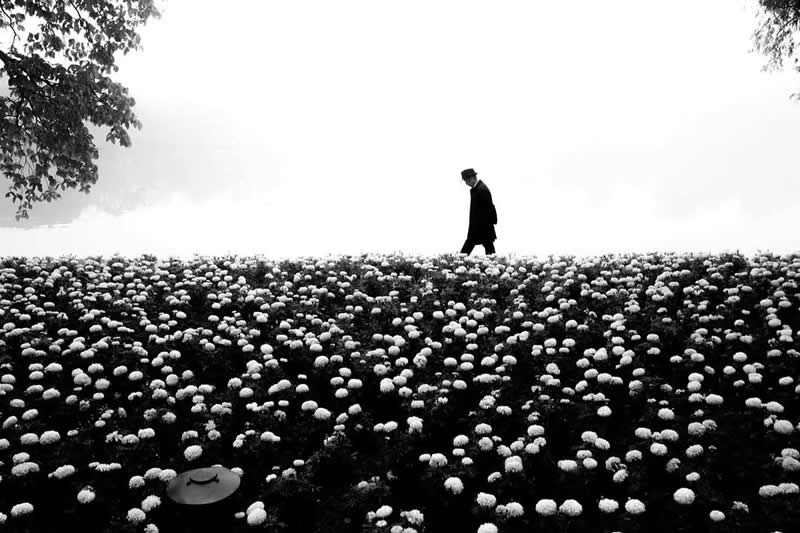 Poetry - Black and White Street Photography Timing and Composition