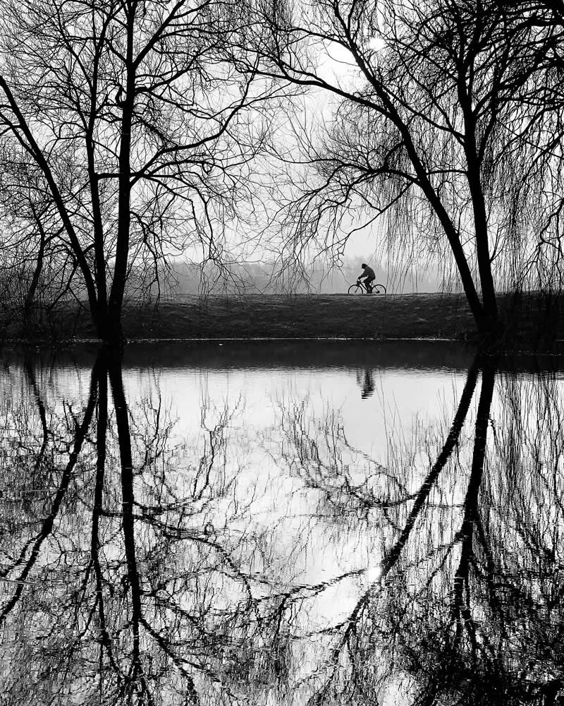 Conversations with nature - Black and White Street Photography Timing and Composition