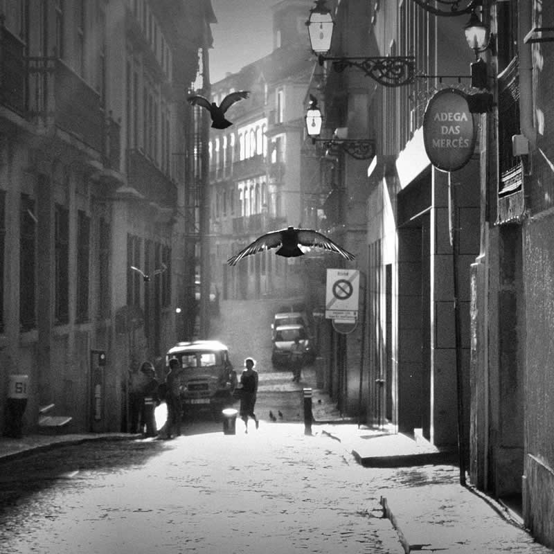 Fly - Black and White Street Photography Timing and Composition