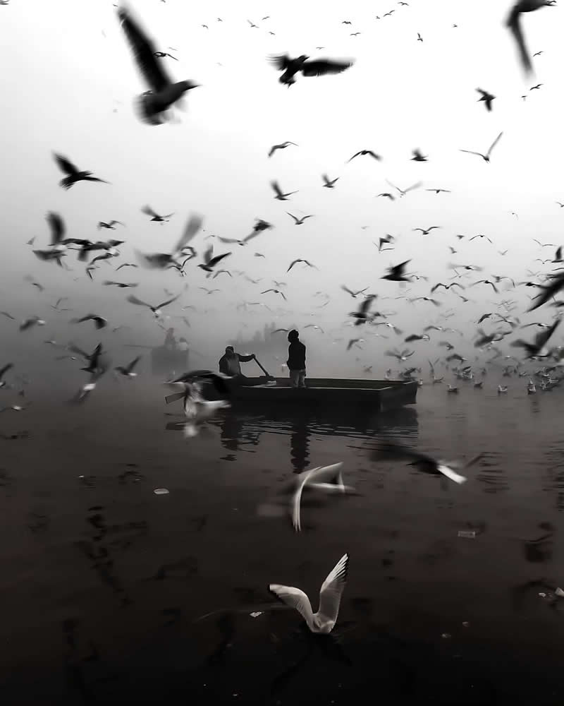 Birds and Boat - Black and White Street Photography Timing and Composition