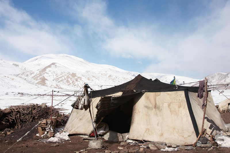 Quiet Beauty of Changpa Nomads Himalayan Life by Cat Vinton