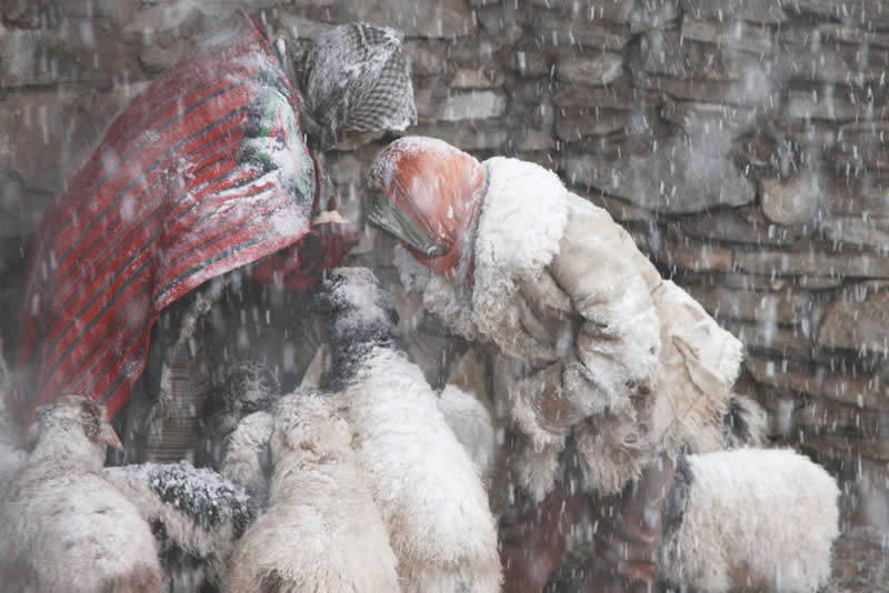 Quiet Beauty of Changpa Nomads Himalayan Life by Cat Vinton