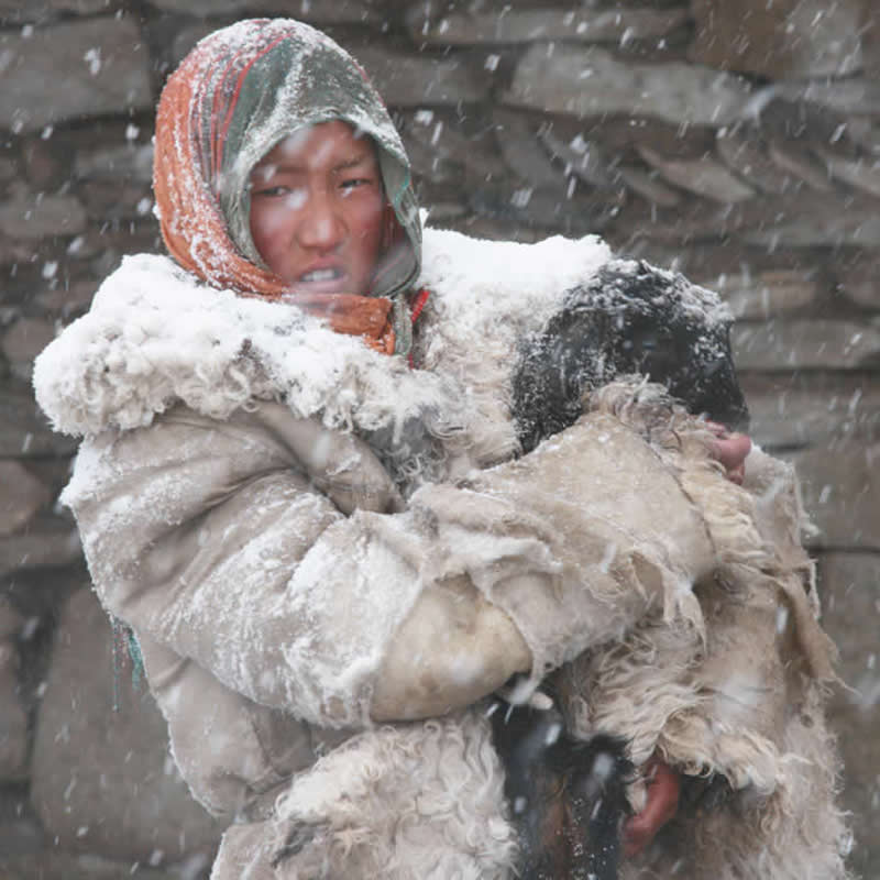 Quiet Beauty of Changpa Nomads Himalayan Life by Cat Vinton