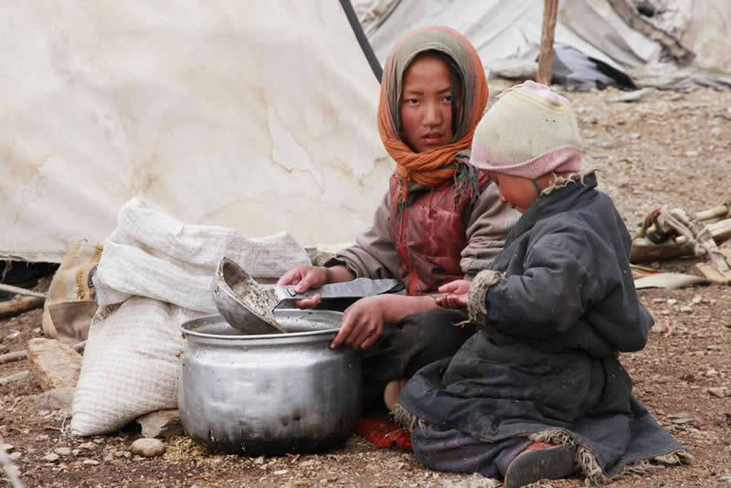 Quiet Beauty of Changpa Nomads Himalayan Life by Cat Vinton