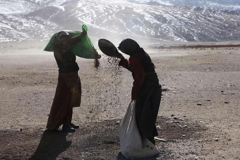 Quiet Beauty of Changpa Nomads Himalayan Life by Cat Vinton