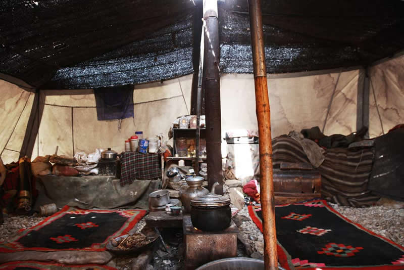 Quiet Beauty of Changpa Nomads Himalayan Life by Cat Vinton