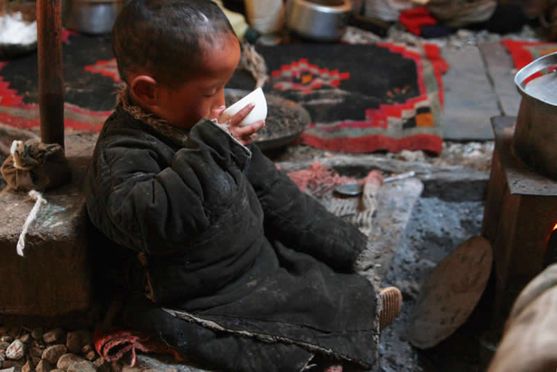 Quiet Beauty of Changpa Nomads Himalayan Life by Cat Vinton