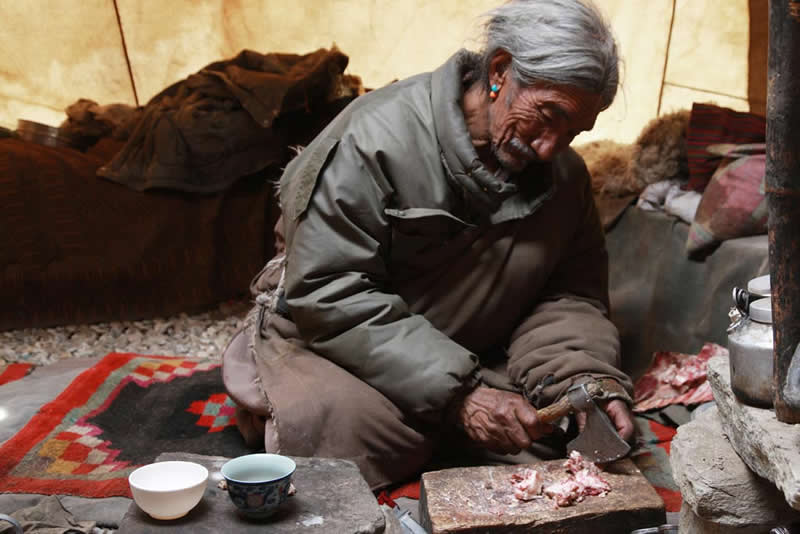 Quiet Beauty of Changpa Nomads Himalayan Life by Cat Vinton