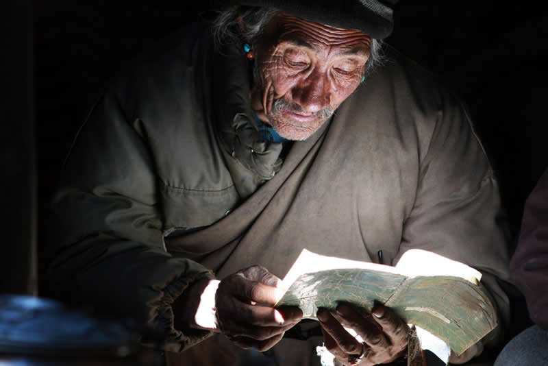 Quiet Beauty of Changpa Nomads Himalayan Life by Cat Vinton
