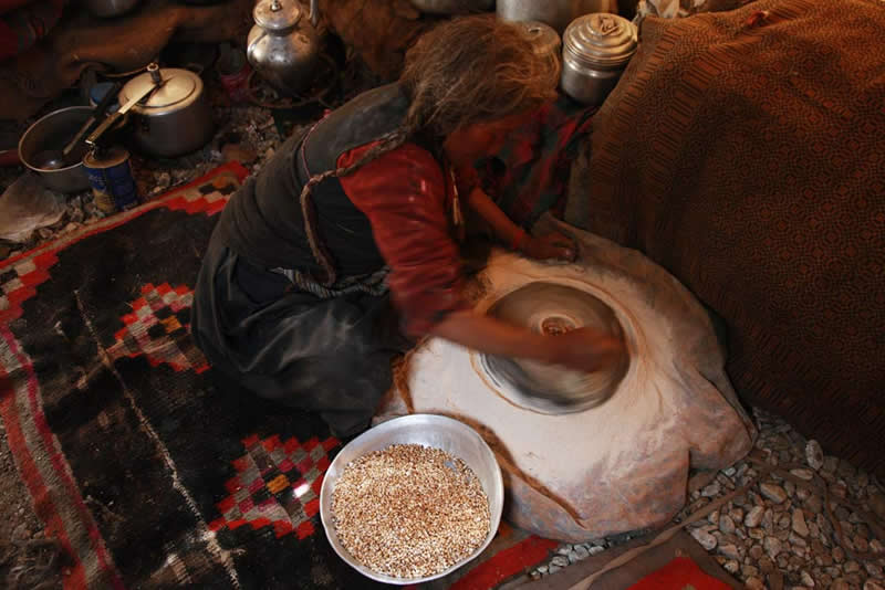 Quiet Beauty of Changpa Nomads Himalayan Life by Cat Vinton