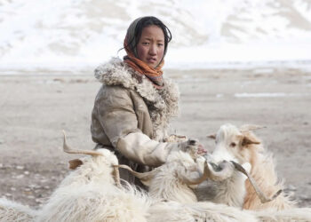 Quiet Beauty of Changpa Nomads Himalayan Life by Cat Vinton