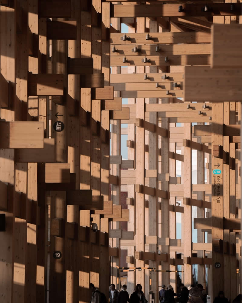 Forest of Impermanence by Gary Ng, Hong Kong - 2025 Chromatic Awards Architecture Winners