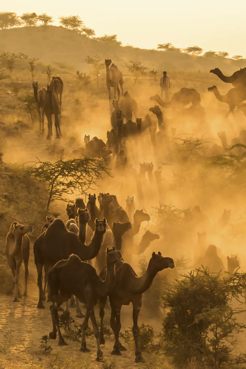 Culture and Landscape Photography by Kanwar Pal Singh