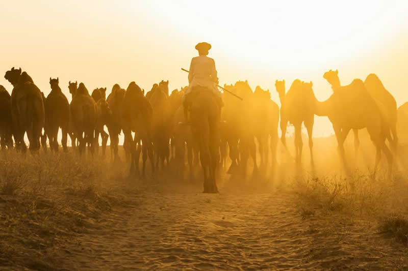 Culture and Landscape Photography by Kanwar Pal Singh