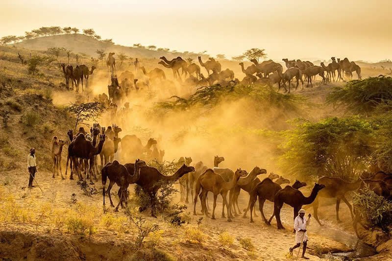 Culture and Landscape Photography by Kanwar Pal Singh