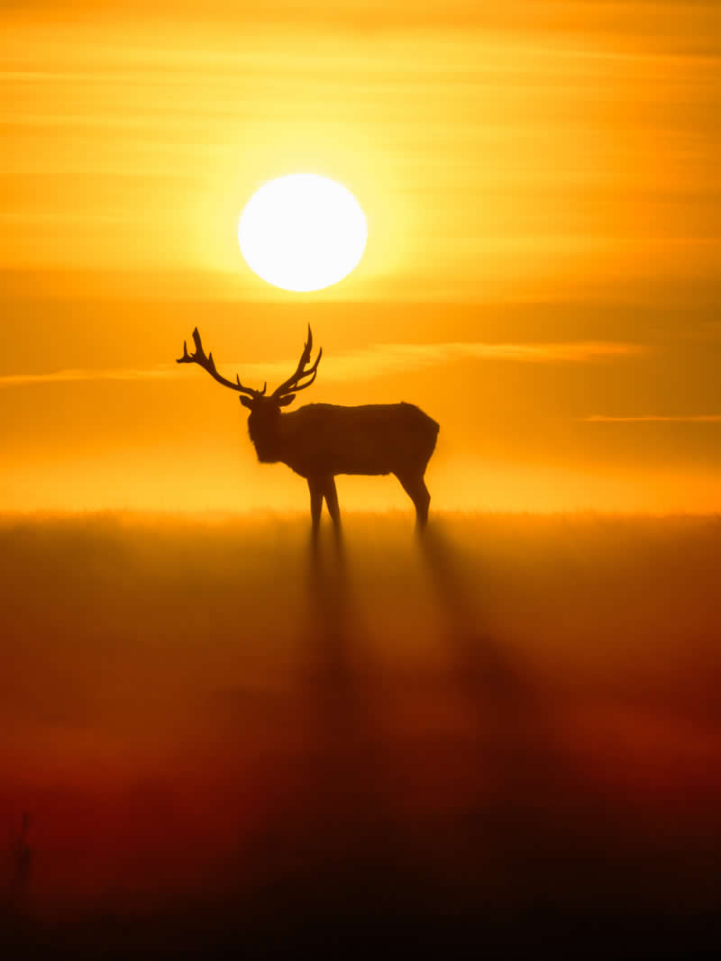 January sunrise by the Pacific by User1107186962 - Best Photos of 2025 by DP Review Photo Challenge