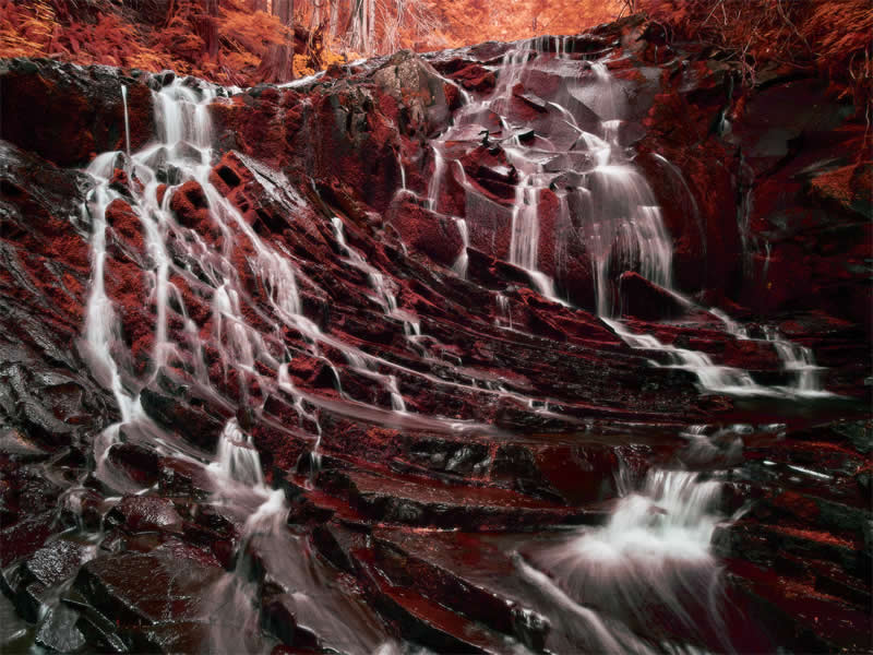 Fantastic journey by HaroldC3 - Best Photos of 2025 by DP Review Photo Challenge