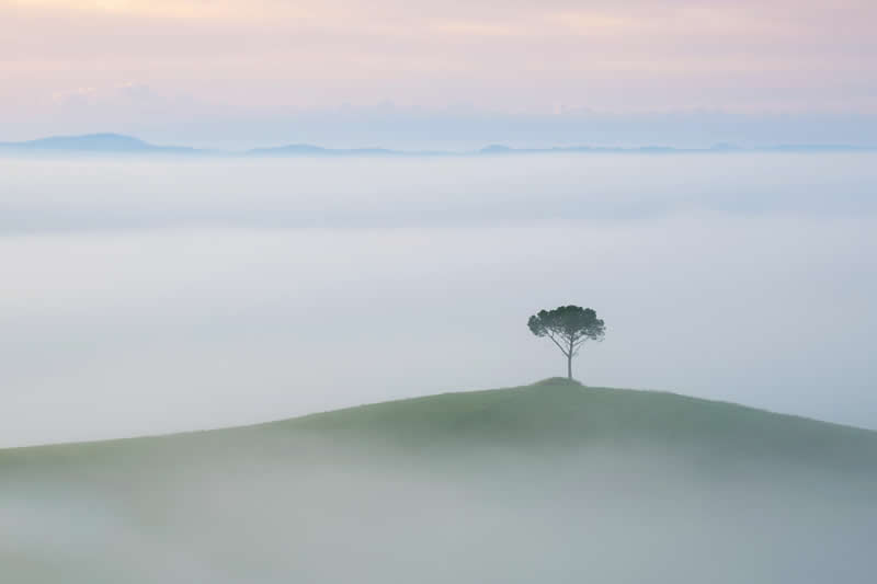 Misty morning by Supernaut - Best Photos of 2025 by DP Review Photo Challenge