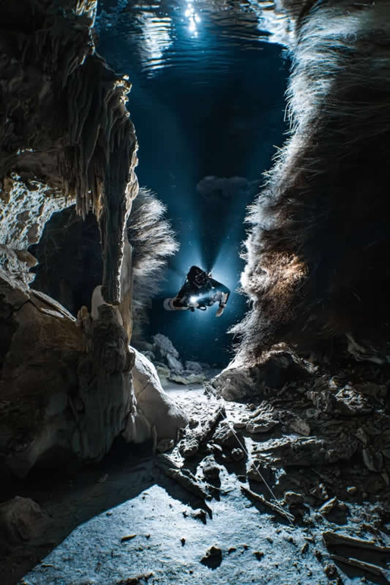 Compact - Gold: Tree of Life by Manuel W&uuml;thrich, Switzerland, Location: Cenote Dos Pisos, Mexico - 2025 DPG Masters Underwater Imaging Competition Winners