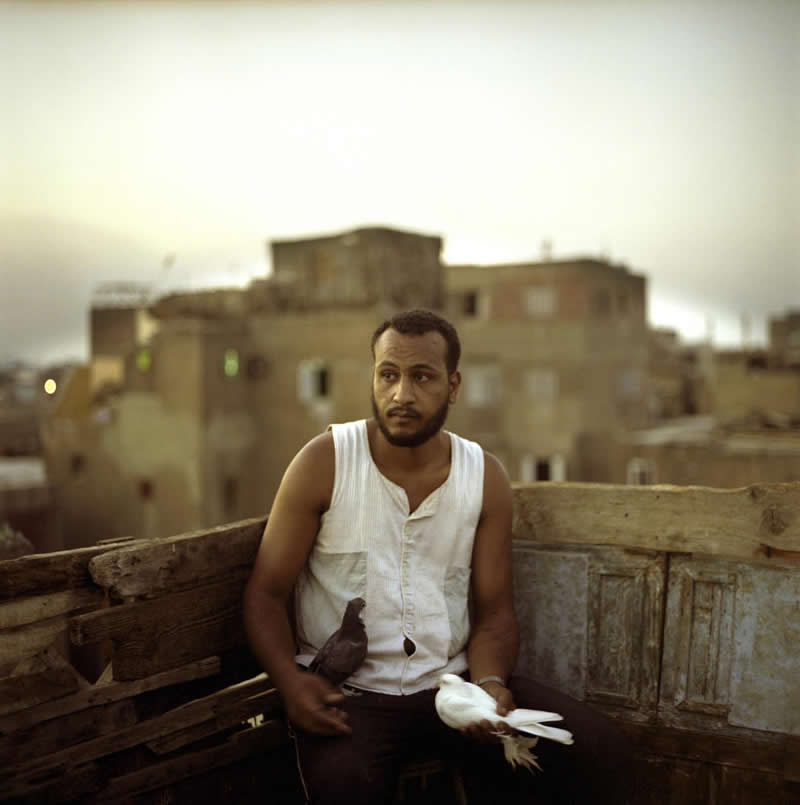 Timeless Egypt Photos by Denis Dailleux That Glow with Quiet Emotion