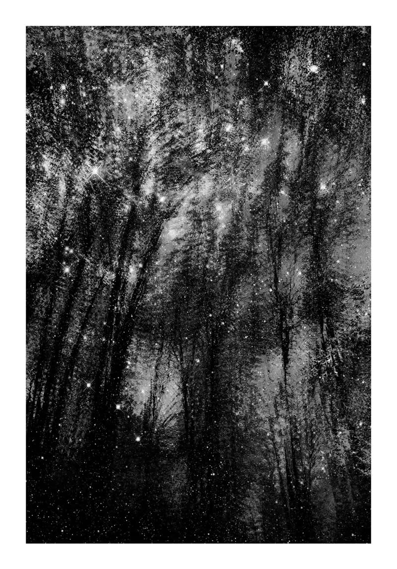 3rd Place Winner: The Murmur of a Thousand Suns by Thomas Brummett - Black and White Photography of Nature One Exposure Awards