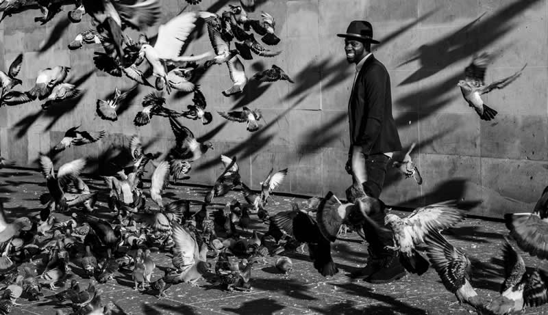 Humans & Nature - Silver: A walk in Paris by Veronique Vial - Black and White Photography of Nature One Exposure Awards