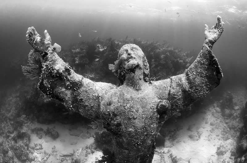 Underwater - Gold: Holy Waters by Chris Gug - Black and White Photography of Nature One Exposure Awards