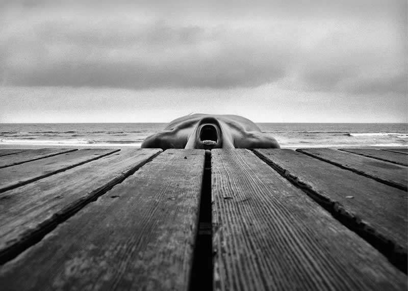 Black and White Fine Art Photography by Arno Rafael Minkkinen