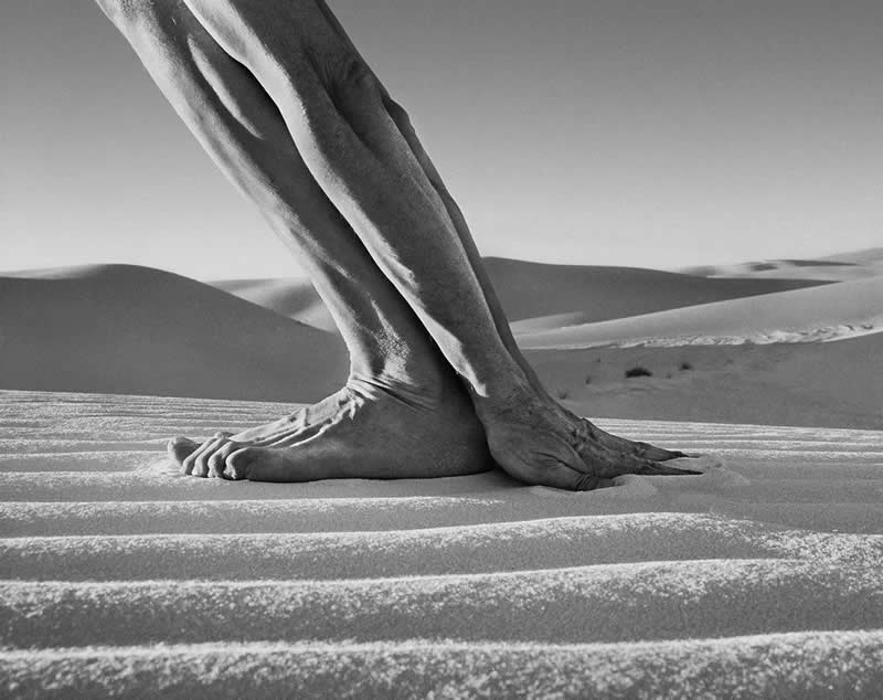 Black and White Fine Art Photography by Arno Rafael Minkkinen