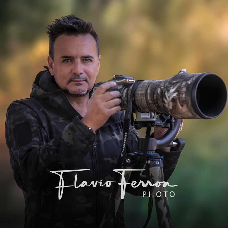 Wildlife Photography by Flavio Ferron