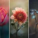 flower-photography-monica