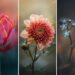 Flower Photography by Monica