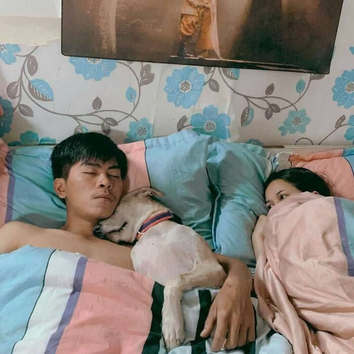 Hilarious and Heart-Melting Animal Moments