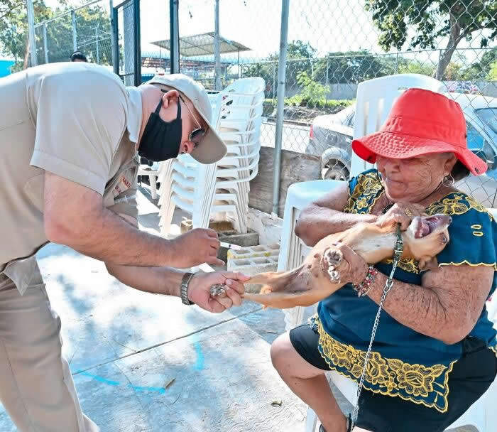 Hilarious and Heart-Melting Animal Moments