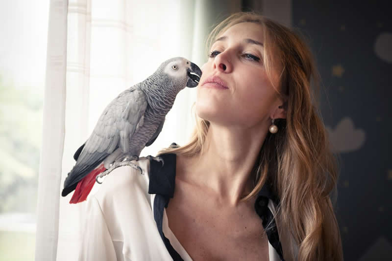 Heartwarming Photos of Humans and Animals by Diana Bagnoli