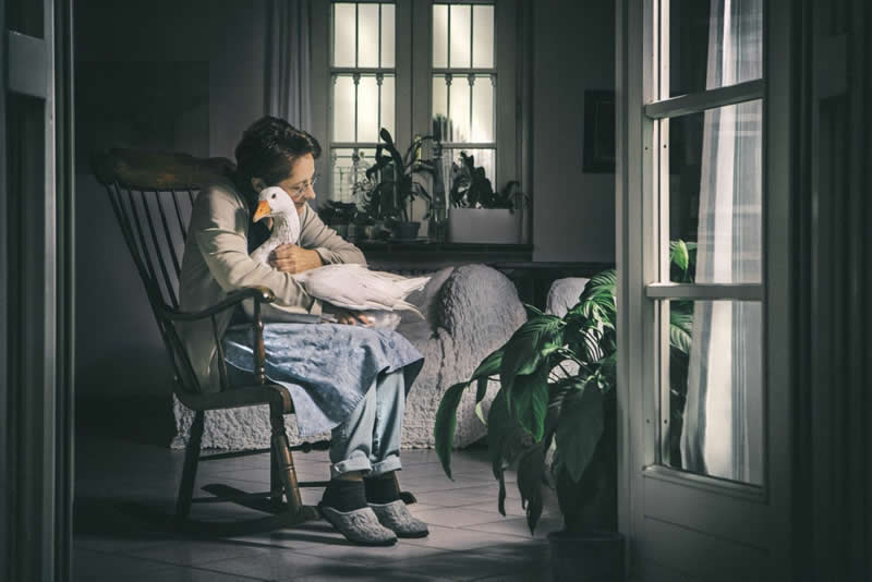 Heartwarming Photos of Humans and Animals by Diana Bagnoli