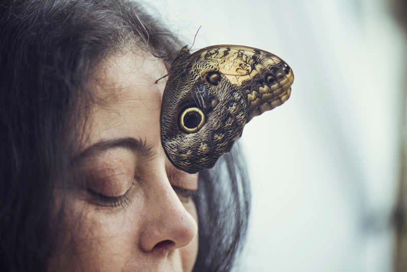 Heartwarming Photos of Humans and Animals by Diana Bagnoli