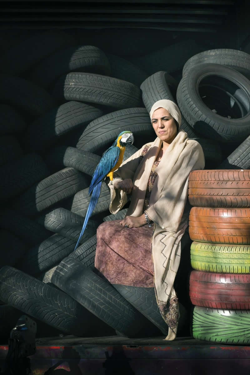 Heartwarming Photos of Humans and Animals by Diana Bagnoli