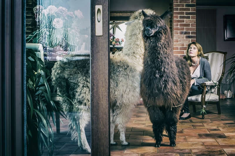 Heartwarming Photos of Humans and Animals by Diana Bagnoli