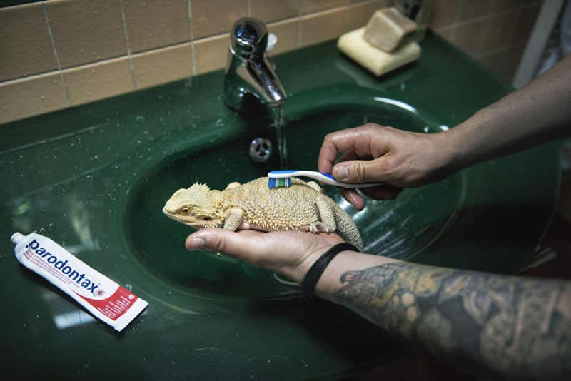 Heartwarming Photos of Humans and Animals by Diana Bagnoli