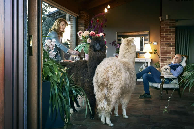 Heartwarming Photos of Humans and Animals by Diana Bagnoli