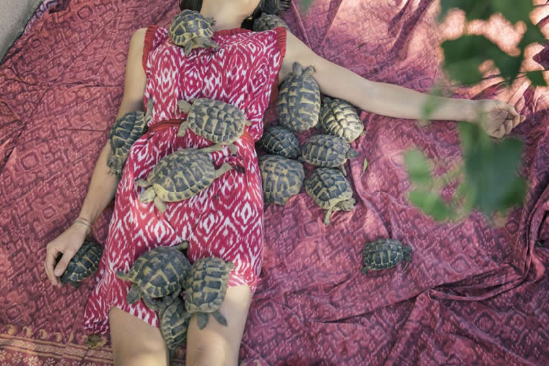 Heartwarming Photos of Humans and Animals by Diana Bagnoli