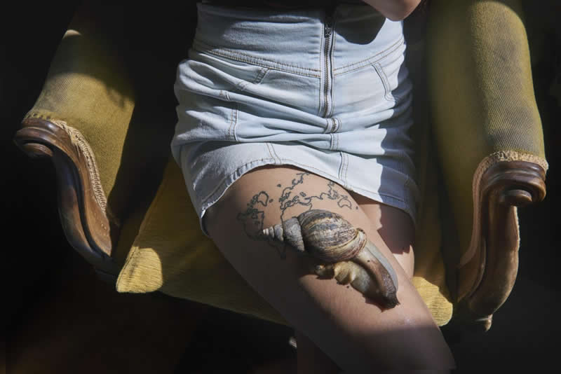 Heartwarming Photos of Humans and Animals by Diana Bagnoli