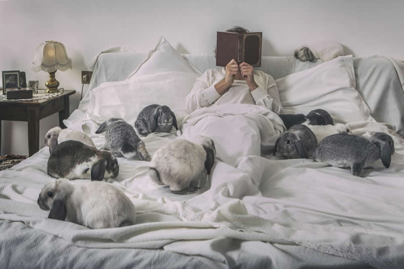 Heartwarming Photos of Humans and Animals by Diana Bagnoli