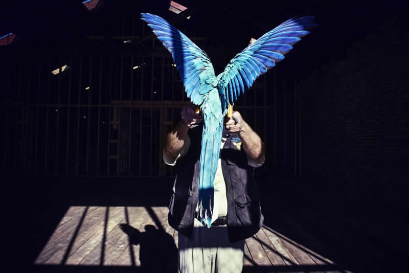 Heartwarming Photos of Humans and Animals by Diana Bagnoli